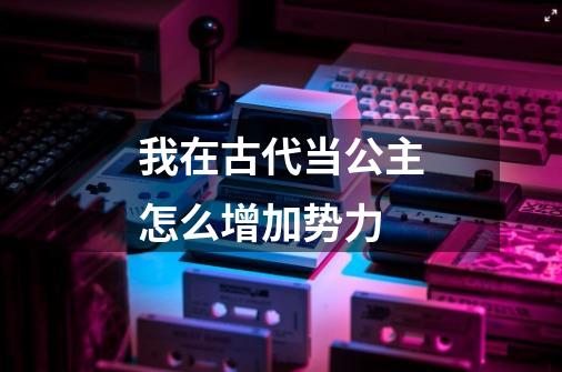 我在古代当公主怎么增加势力-第1张-游戏信息-龙启网