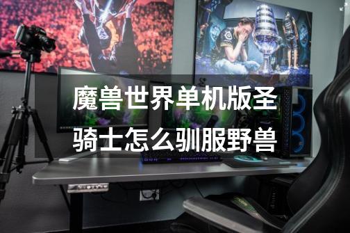 魔兽世界单机版圣骑士怎么驯服野兽-第1张-游戏信息-龙启网
