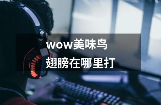 wow美味鸟翅膀在哪里打-第1张-游戏信息-龙启网