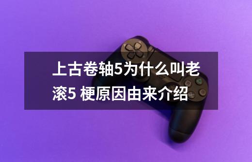 上古卷轴5为什么叫老滚5 梗原因由来介绍-第1张-游戏信息-龙启网