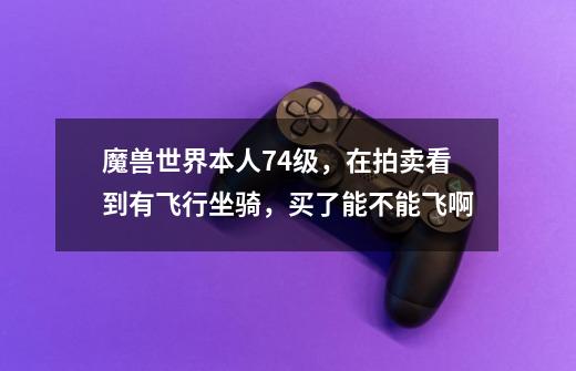魔兽世界本人74级，在拍卖看到有飞行坐骑，买了能不能飞啊-第1张-游戏信息-龙启网