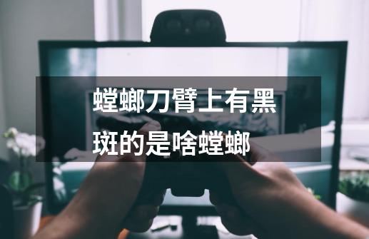 螳螂刀臂上有黑斑的是啥螳螂-第1张-游戏信息-龙启网