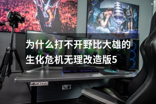 为什么打不开野比大雄的生化危机无理改造版5-第1张-游戏信息-龙启网