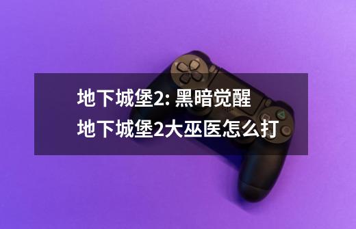 地下城堡2: 黑暗觉醒 地下城堡2大巫医怎么打-第1张-游戏信息-龙启网