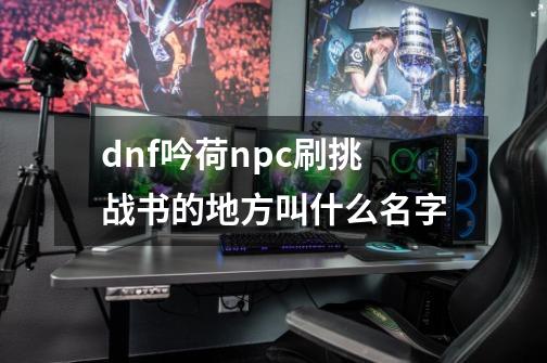 dnf吟荷npc刷挑战书的地方叫什么名字-第1张-游戏信息-龙启网