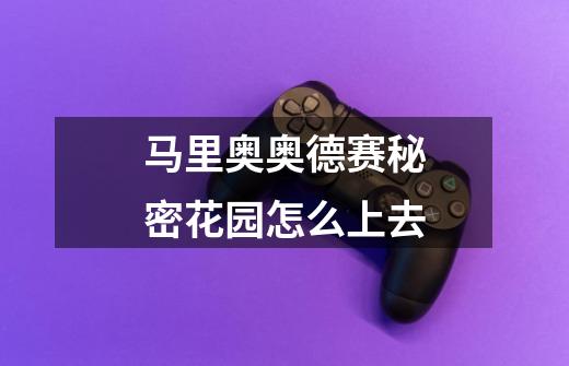马里奥奥德赛秘密花园怎么上去-第1张-游戏信息-龙启网
