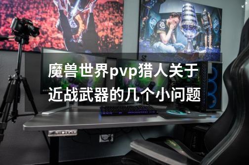 魔兽世界pvp猎人关于近战武器的几个小问题-第1张-游戏信息-龙启网