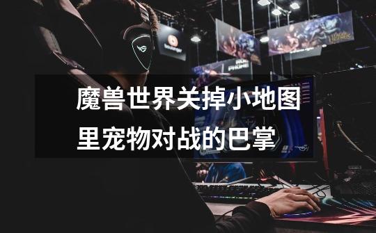 魔兽世界关掉小地图里宠物对战的巴掌-第1张-游戏信息-龙启网