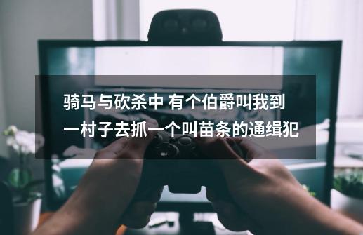 骑马与砍杀中 有个伯爵叫我到一村子去抓一个叫苗条的通缉犯-第1张-游戏信息-龙启网