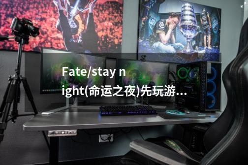 Fate/stay night(命运之夜)先玩游戏还是先看动画，求大神告告，拜托了！-第1张-游戏信息-龙启网