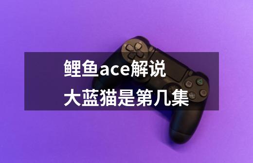 鲤鱼ace解说大蓝猫是第几集-第1张-游戏信息-龙启网