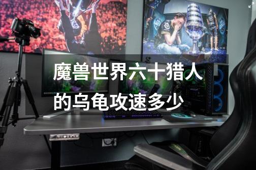 魔兽世界六十猎人的乌龟攻速多少-第1张-游戏信息-龙启网