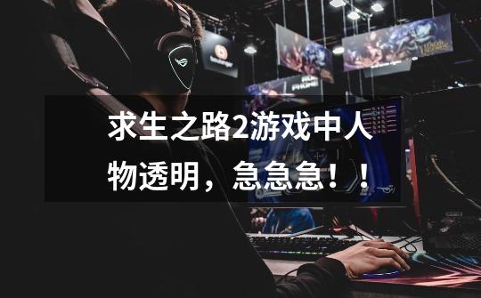 求生之路2游戏中人物透明,急急急!!-第1张-游戏信息-龙启网