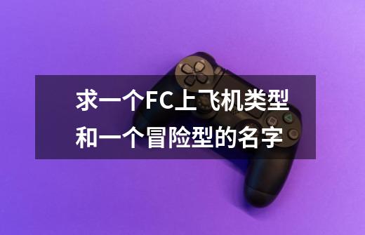 求一个FC上飞机类型和一个冒险型的名字-第1张-游戏信息-龙启网