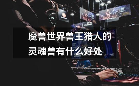 魔兽世界兽王猎人的灵魂兽有什么好处-第1张-游戏信息-龙启网