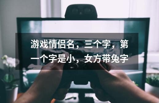 游戏情侣名,三个字,第一个字是小,女方带兔字-第1张-游戏信息-龙启网
