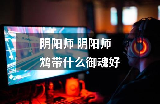 阴阳师 阴阳师鸩带什么御魂好-第1张-游戏信息-龙启网