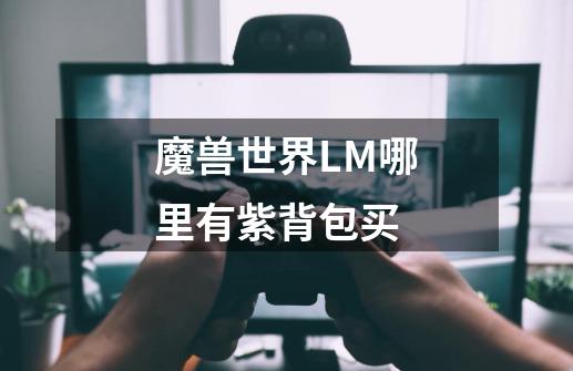 魔兽世界LM哪里有紫背包买-第1张-游戏信息-龙启网