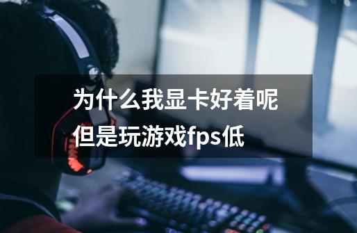 为什么我显卡好着呢 但是玩游戏fps低-第1张-游戏信息-龙启网