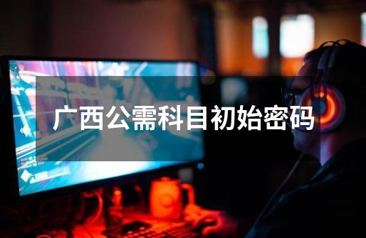 广西公需科目初始密码-第1张-游戏信息-龙启网