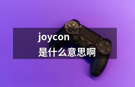 joycon是什么意思啊-第1张-游戏信息-龙启网
