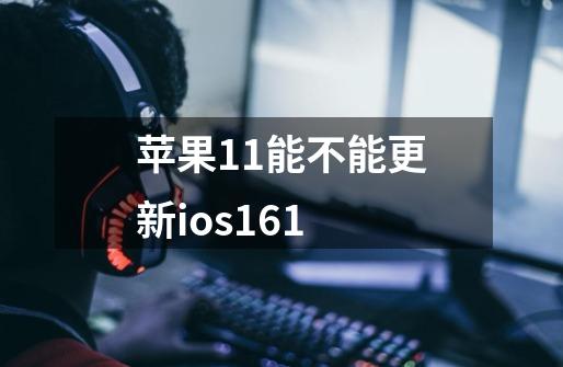 苹果11能不能更新ios16.1-第1张-游戏信息-龙启网