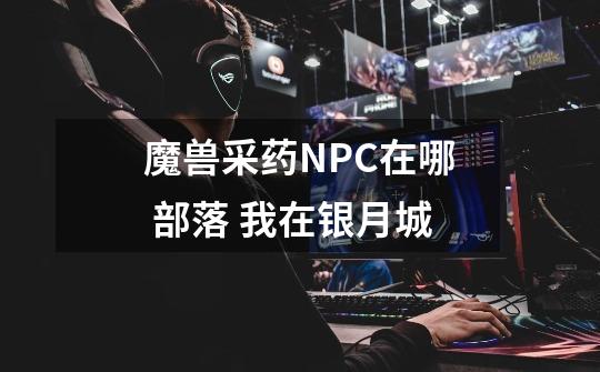 魔兽采药NPC在哪 部落 我在银月城-第1张-游戏信息-龙启网