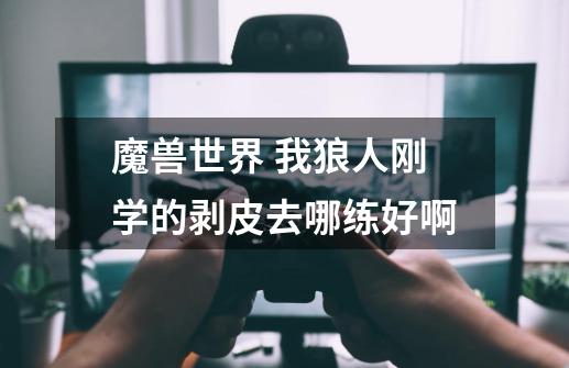 魔兽世界 我狼人刚学的剥皮去哪练好啊-第1张-游戏信息-龙启网