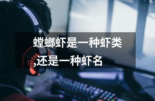 螳螂虾是一种虾类,还是一种虾名-第1张-游戏信息-龙启网