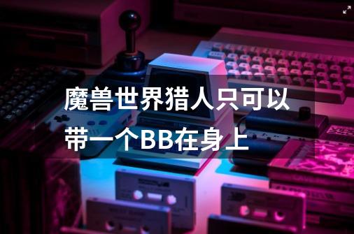 魔兽世界猎人只可以带一个BB在身上-第1张-游戏信息-龙启网
