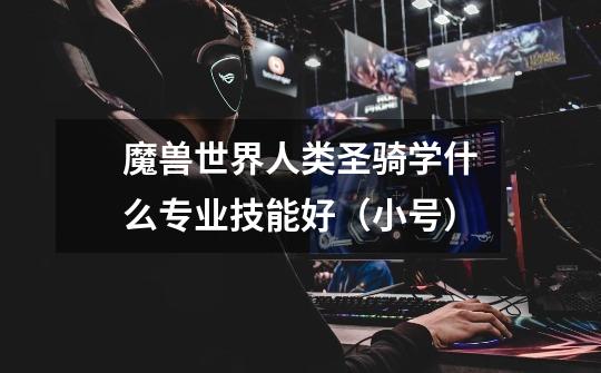 魔兽世界人类圣骑学什么专业技能好（小号）-第1张-游戏信息-龙启网