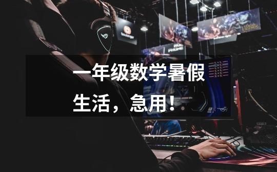 一年级数学暑假生活，急用！-第1张-游戏信息-龙启网