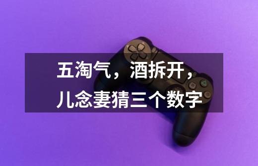 五淘气,酒拆开,儿念妻猜三个数字-第1张-游戏信息-龙启网