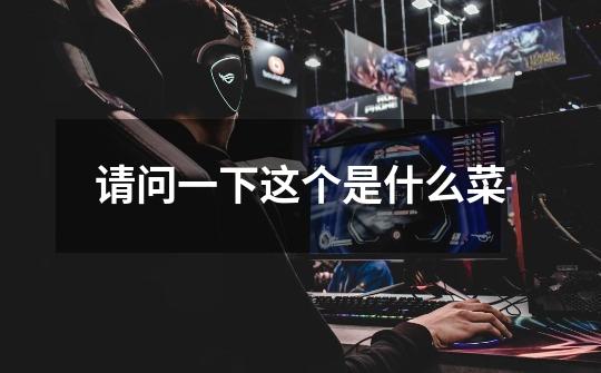 请问一下这个是什么菜-第1张-游戏信息-龙启网