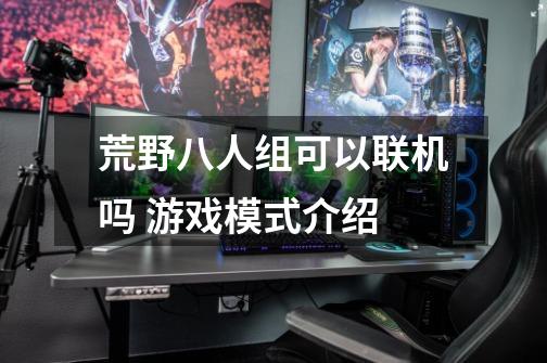 荒野八人组可以联机吗 游戏模式介绍-第1张-游戏信息-龙启网
