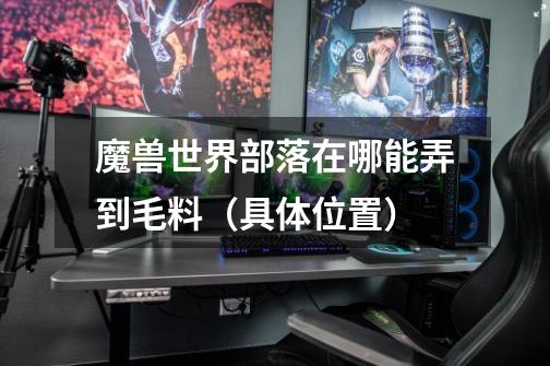 魔兽世界部落在哪能弄到毛料（具体位置）-第1张-游戏信息-龙启网