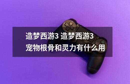 造梦西游3 造梦西游3宠物根骨和灵力有什么用-第1张-游戏信息-龙启网