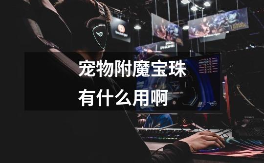 宠物附魔宝珠有什么用啊-第1张-游戏信息-龙启网