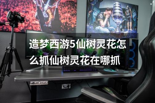 造梦西游5仙树灵花怎么抓仙树灵花在哪抓-第1张-游戏信息-龙启网