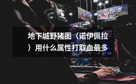 地下城野猪图(诺伊佩拉)用什么属性打取血最多-第1张-游戏信息-龙启网