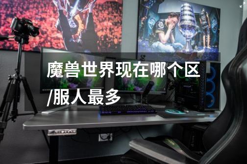 魔兽世界现在哪个区/服人最多-第1张-游戏信息-龙启网