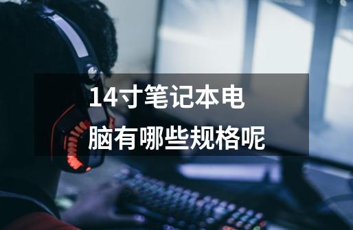14寸笔记本电脑有哪些规格呢-第1张-游戏信息-龙启网