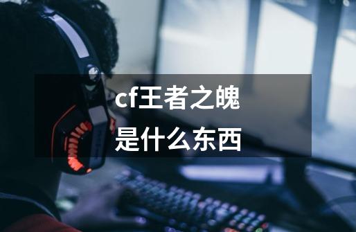 cf王者之魄是什么东西-第1张-游戏信息-龙启网