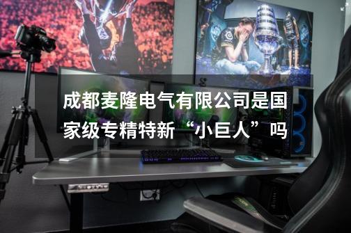 成都麦隆电气有限公司是国家级专精特新“小巨人”吗-第1张-游戏信息-龙启网