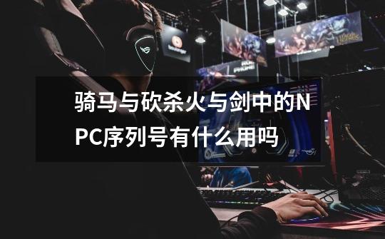 骑马与砍杀火与剑中的NPC序列号有什么用吗-第1张-游戏信息-龙启网