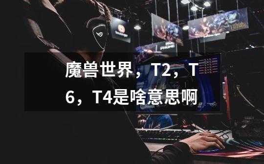 魔兽世界,T2,T6,T4是啥意思啊-第1张-游戏信息-龙启网