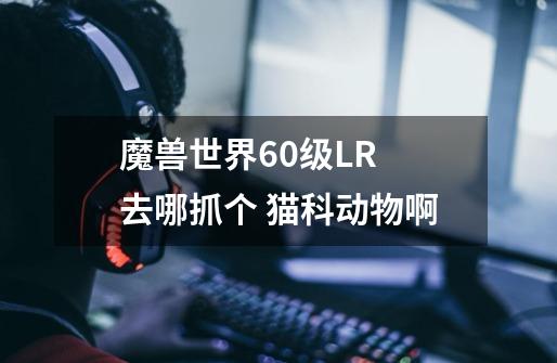 魔兽世界60级LR 去哪抓个 猫科动物啊-第1张-游戏信息-龙启网