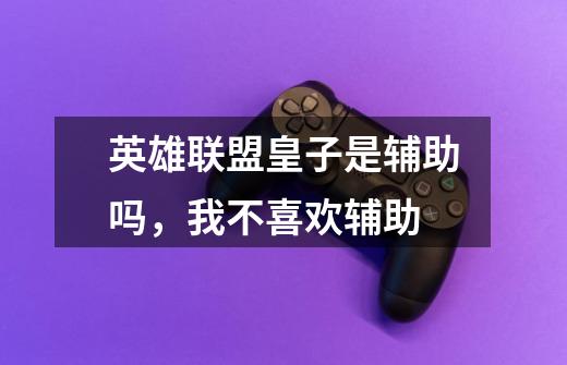 英雄联盟皇子是辅助吗,我不喜欢辅助-第1张-游戏信息-龙启网