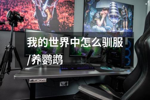 我的世界中怎么驯服/养鹦鹉-第1张-游戏信息-龙启网