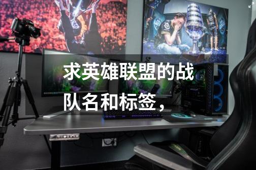 求英雄联盟的战队名和标签,-第1张-游戏信息-龙启网